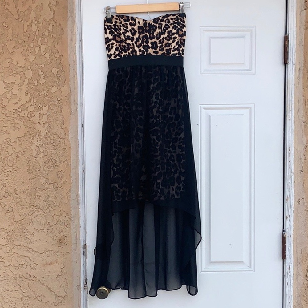 Cheetah Print Mesh Maxi Dress